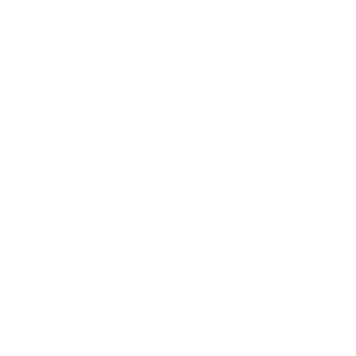 The Reel Nomads Logo